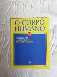 Fascículo nr 64 de o corpo humano