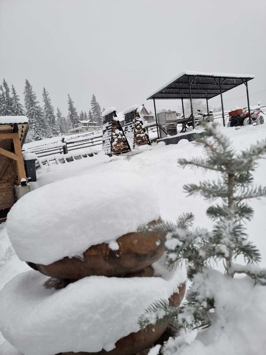 Котедж в горах | Будиночок в Карпатах | Rest Hill | Карпати | Ворохта
