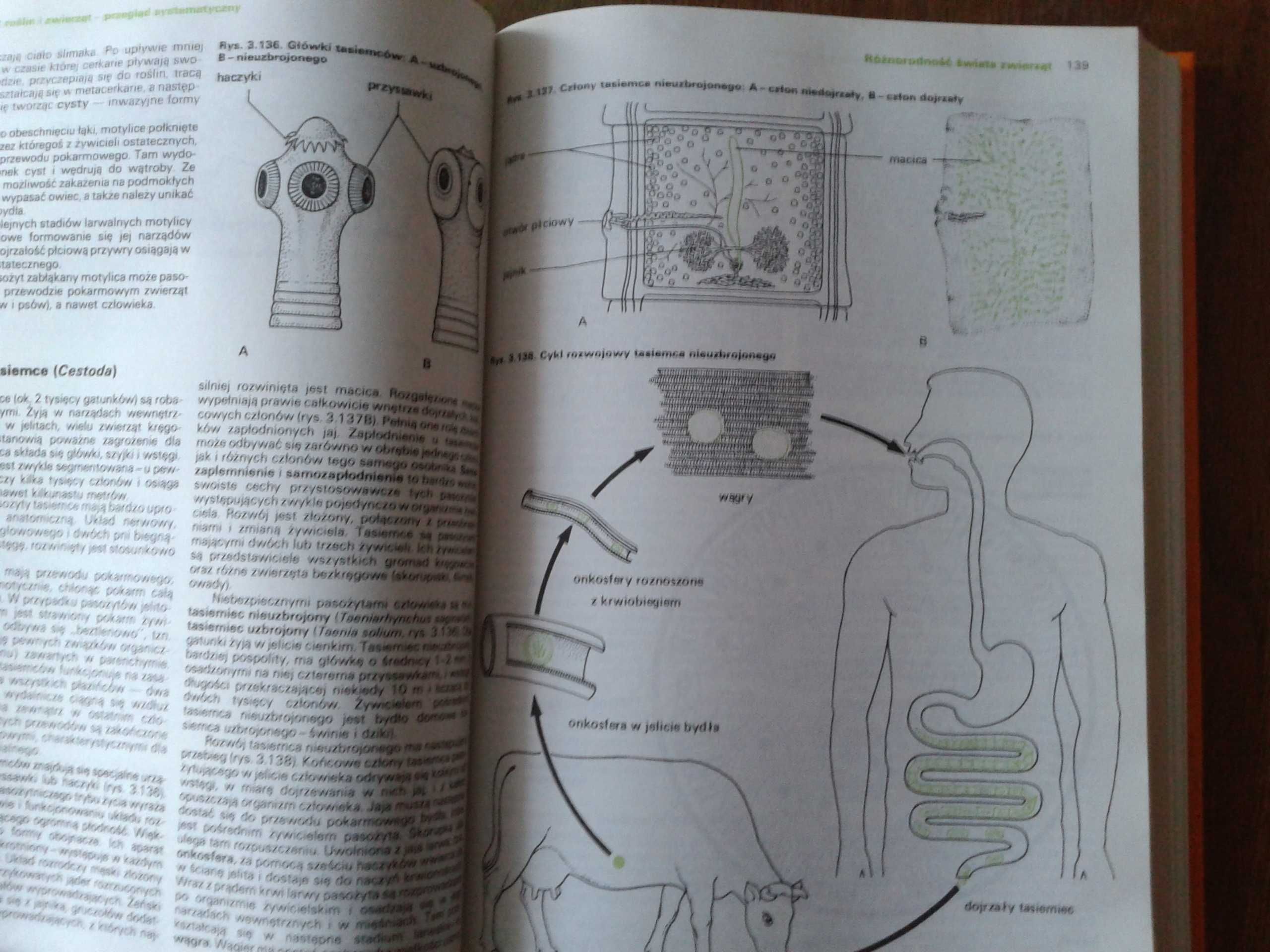 Książka Biologia Państwowe Wydawnictwo Rolnicze i Leśne