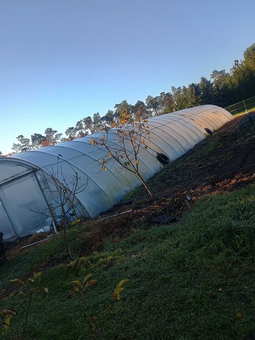 Sprzedam tunel foliowy