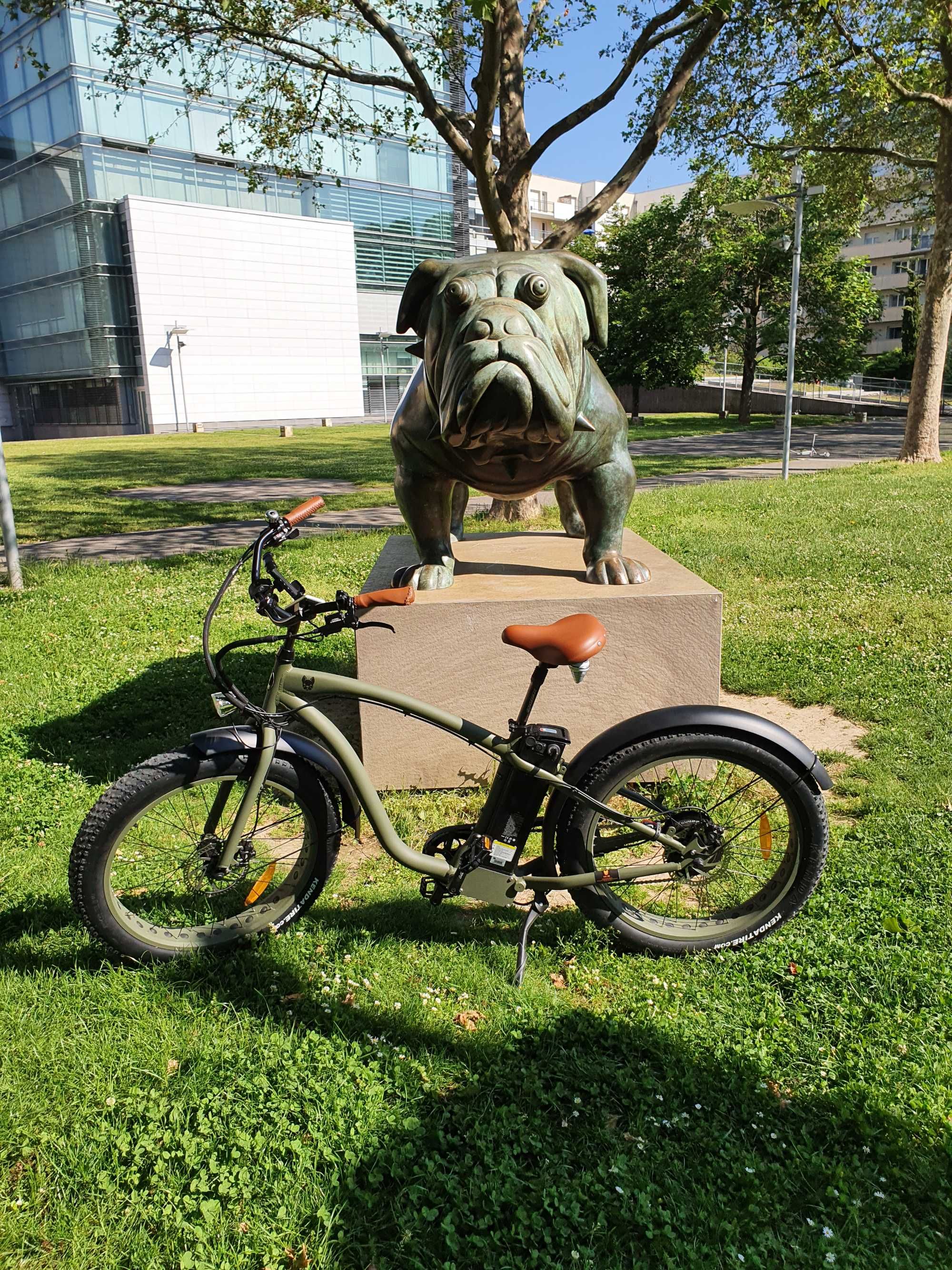Beach cruiser fat bike