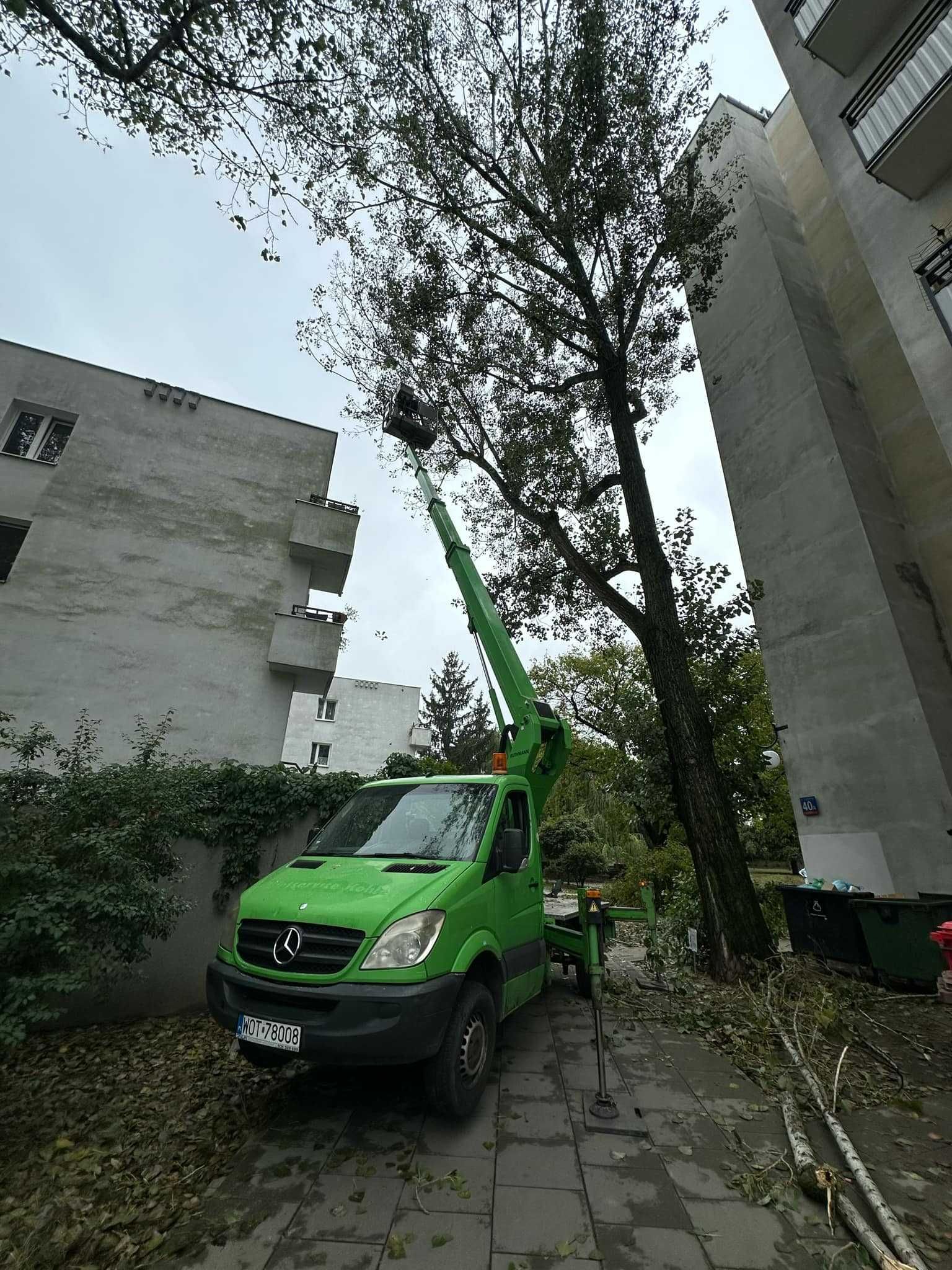 Wycinka Drzew, Karczowanie Terenów, Zrębkowanie i Pielęgnacja Ogrodów