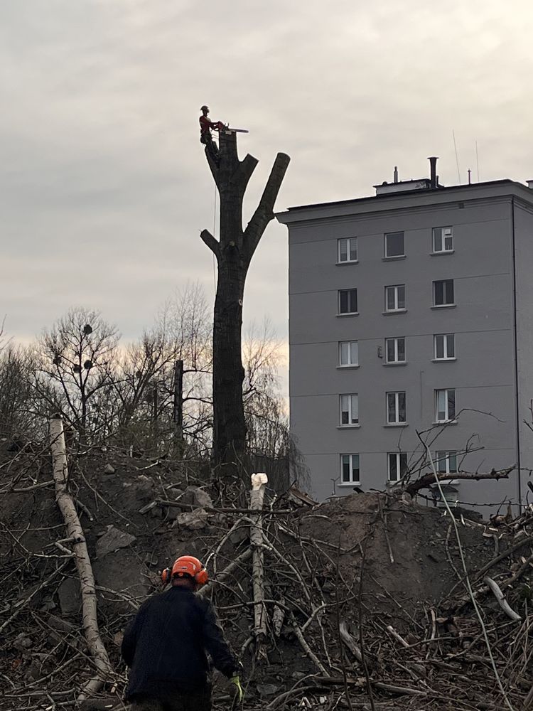 wycinka drzew,koszenie,zwyżka18Mpielegnacja zieleniZrebkowanie gałęzi