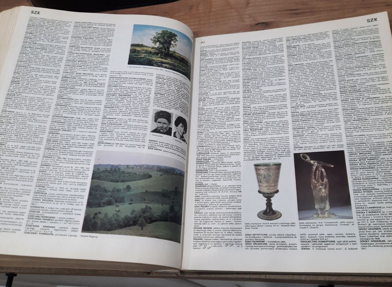Encyklopedia Popularna PWN z 1980 r.