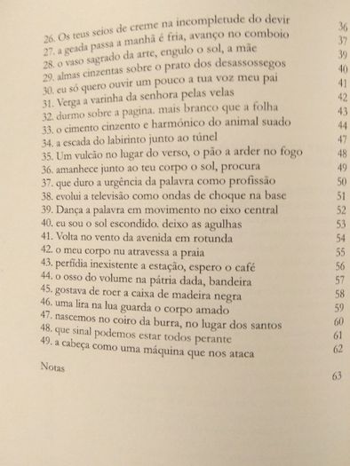 Raro - José Gil - Crash - Poesia