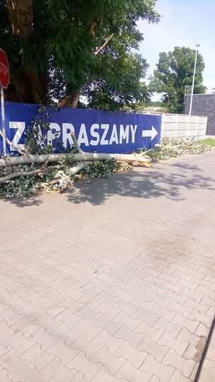 Szambo, szamba, zbiorniki betonowe Kutno