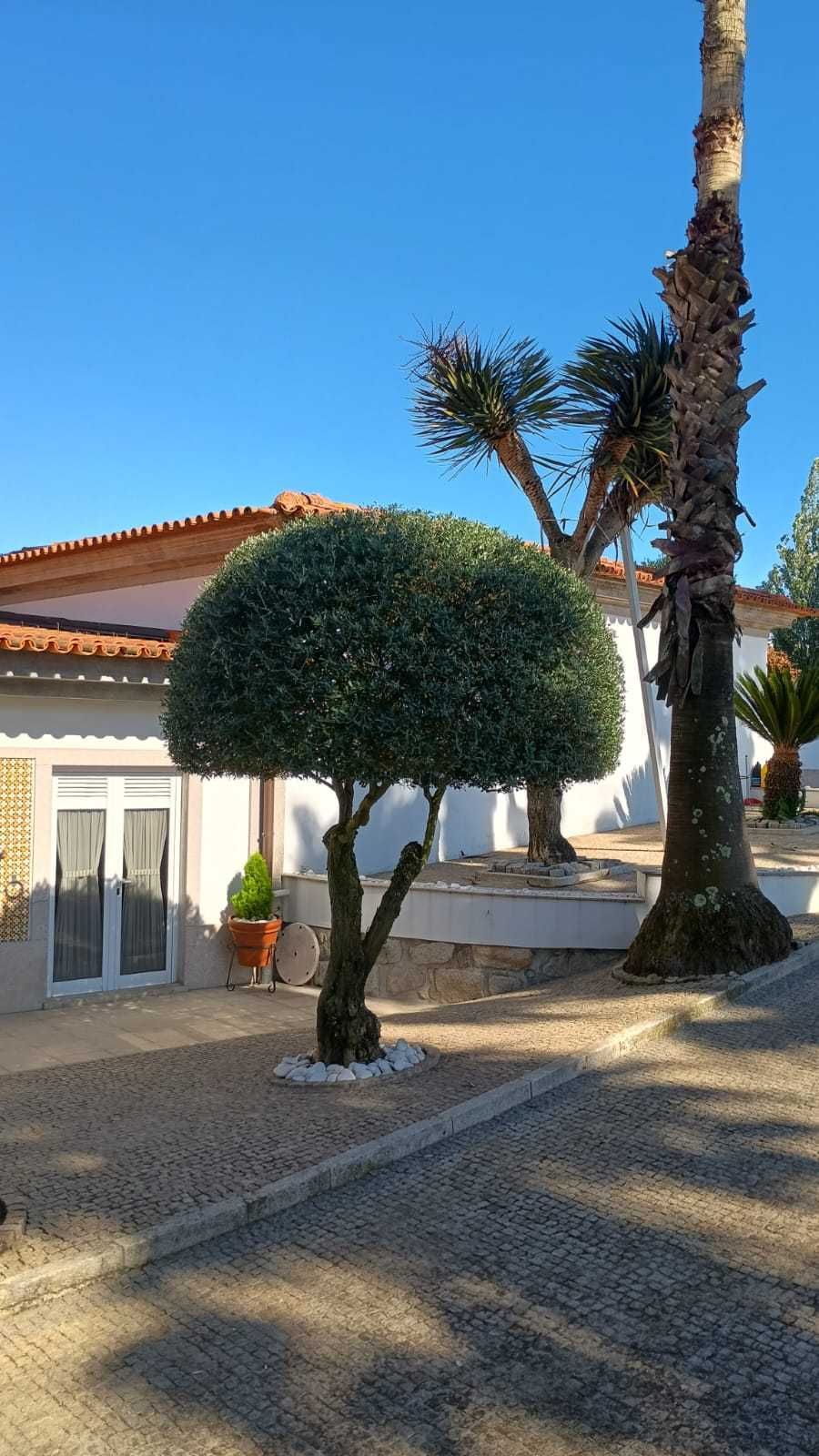 Jardineiro Em todo Porto - Manutenção, Limpeza e Montagem de Jardins