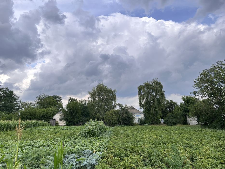 ТЕРМІНОВО Продам будинок та землю в с. Лехнівка