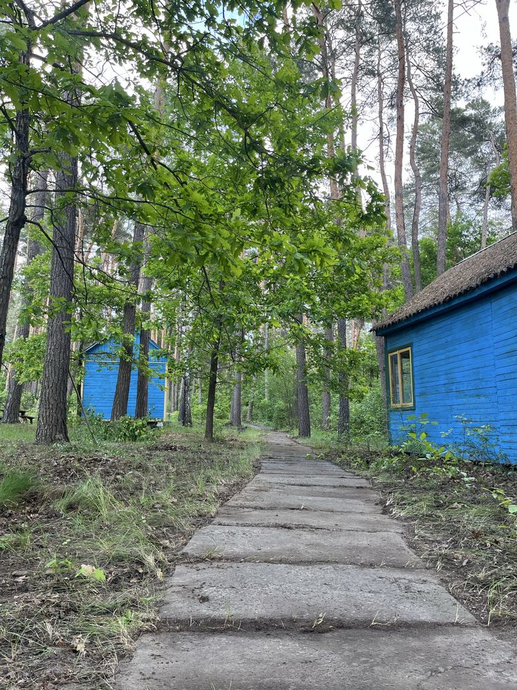 Оренда будинку за містом