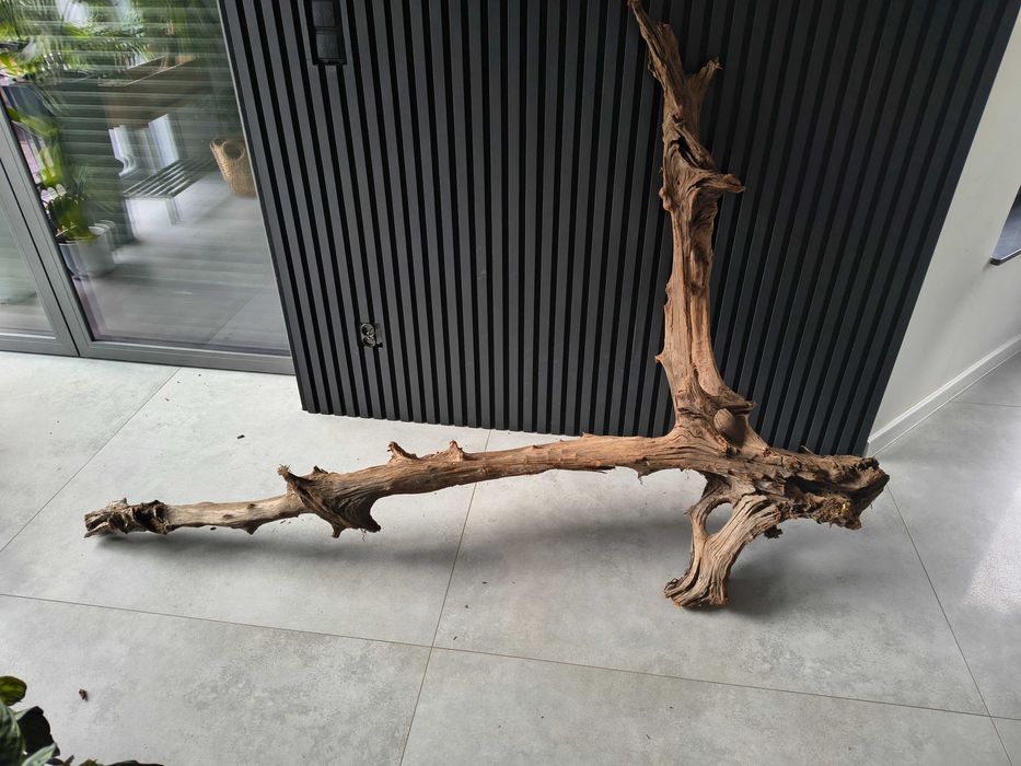 Korzeń MANGROWCA XXXL 1008 akwarium terrarium 210x140x40 Unikat Duży