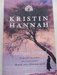 Odległe brzegi Kristin Hannah