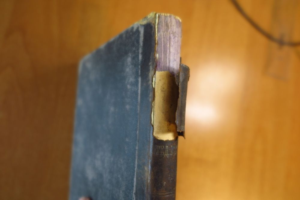 Букинистика. История Средних веков (1893 год)