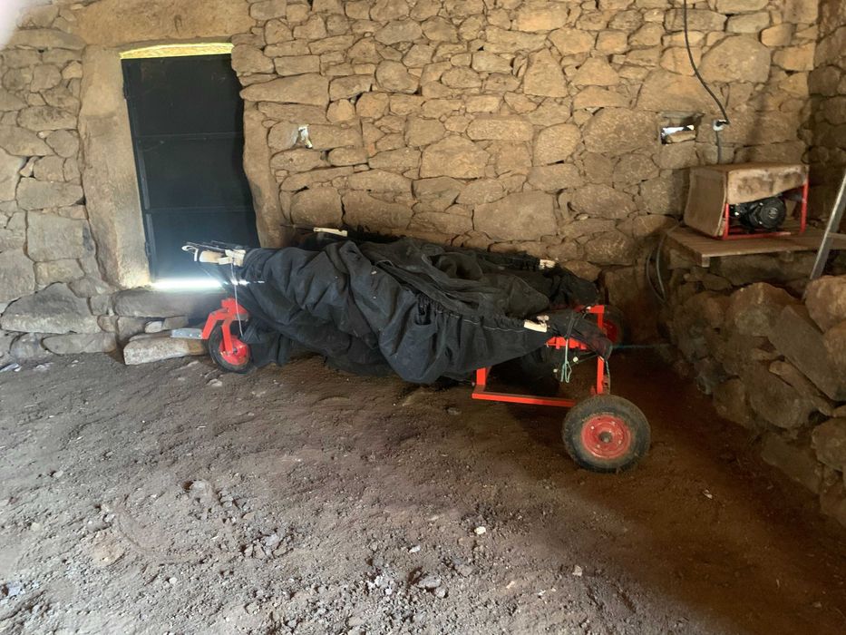 Rede professional para aceitona