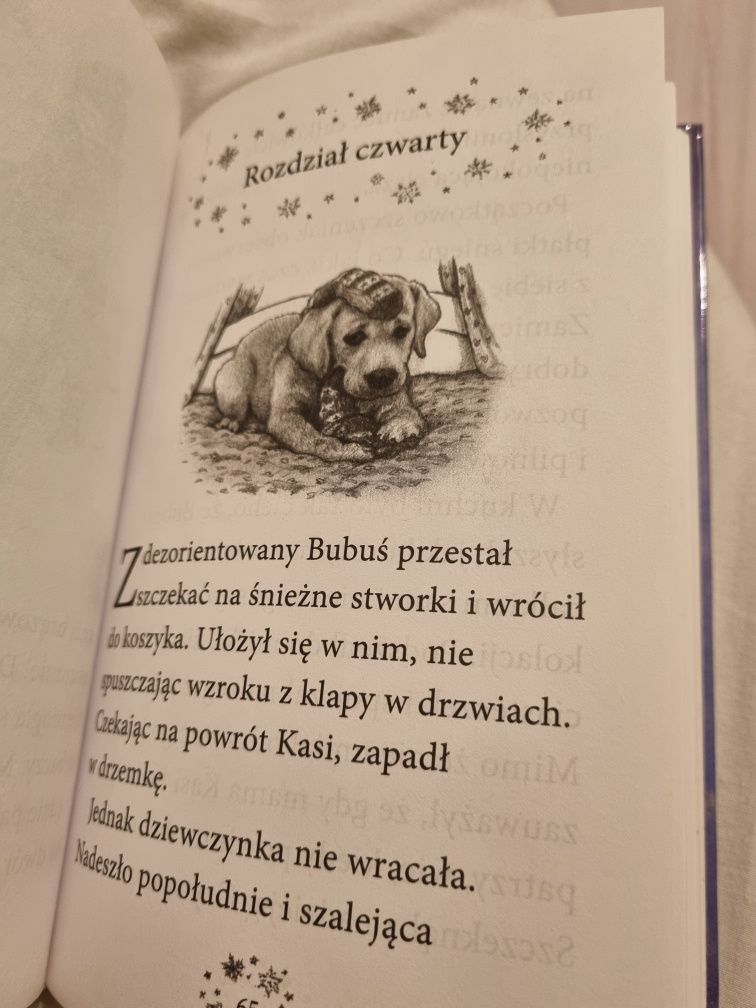 Świąteczna przygoda Bubusia książka Justine Smith