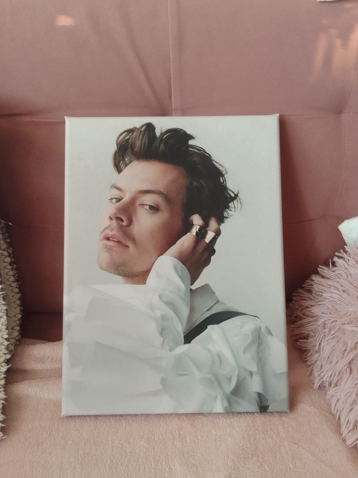 Harry Styles obraz