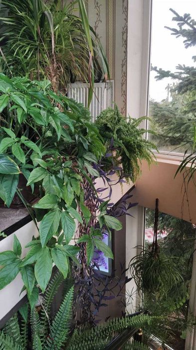 Продам дом с.Светлое, СТ"Свитанок", новые дачи,