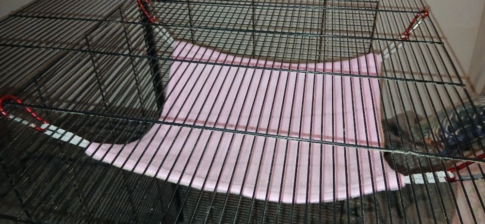 Hamak hamaki dla gryzoni plaster miodu Komplet