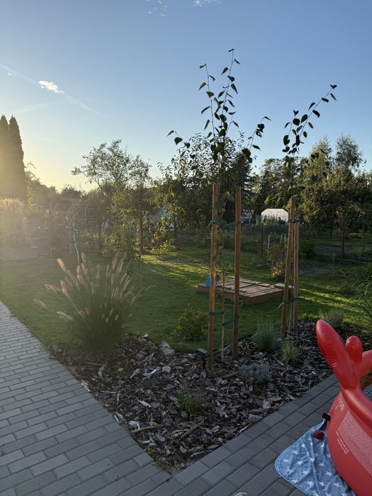 Działka ROD Dzierżona Nysa