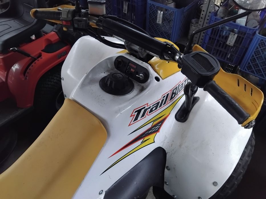 Polaris Trailblazer 250