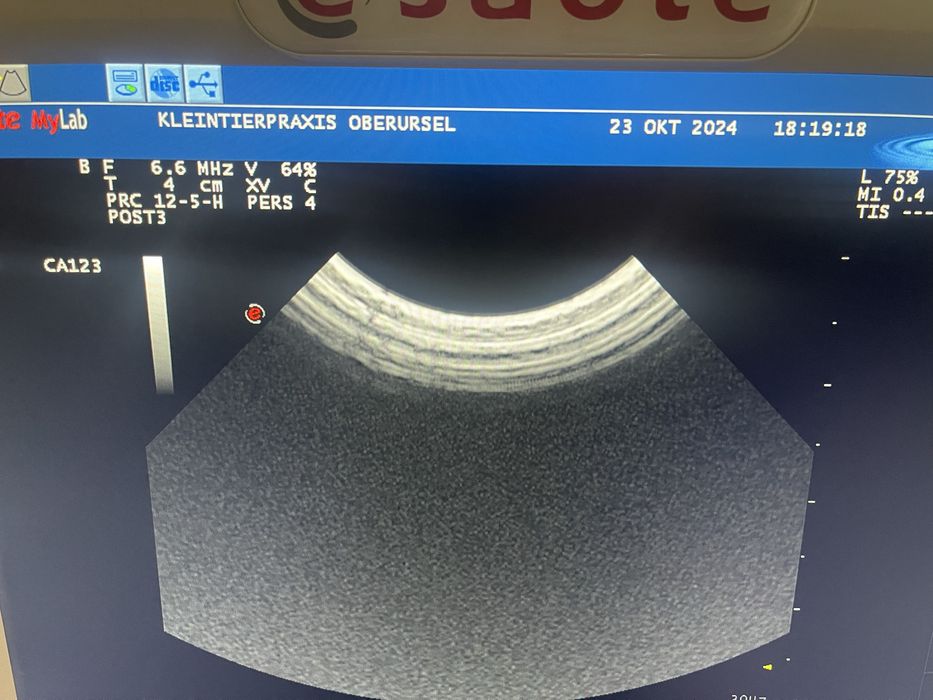 Кардиологический узи узд Ветеринарный сканер ESAOTE MyLab 25 +лицензии