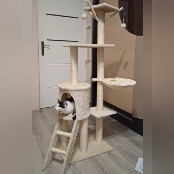 Drapak dla kota elegancki beżowy xl legowisko zabawka z drabinką