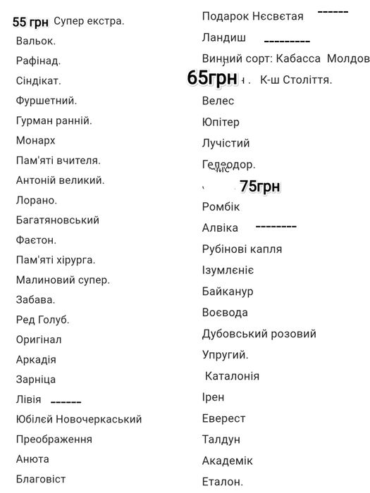 Саженцы винограда