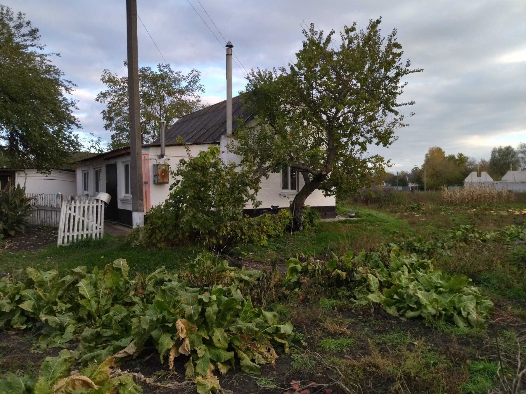 Обміняю Будинок на квартиру в Києві