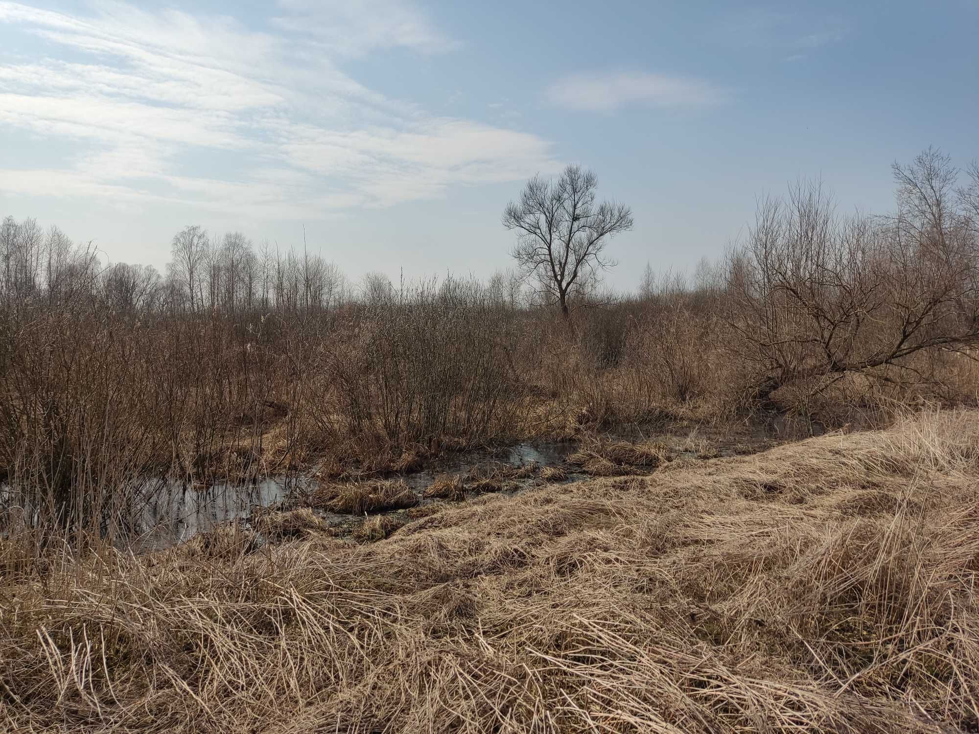 Масив земельних ділянок під ОСГ площею 16 га с. Старе