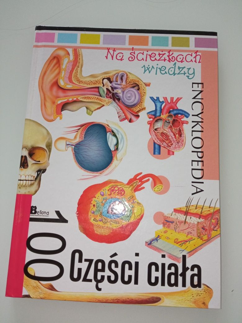 Książka edukacyjna dla dzieci części ciała 100 stron