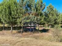 Terreno  para venda