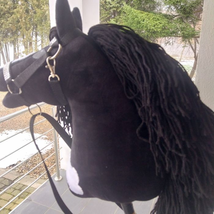 Hobby Horse-koń na kiju