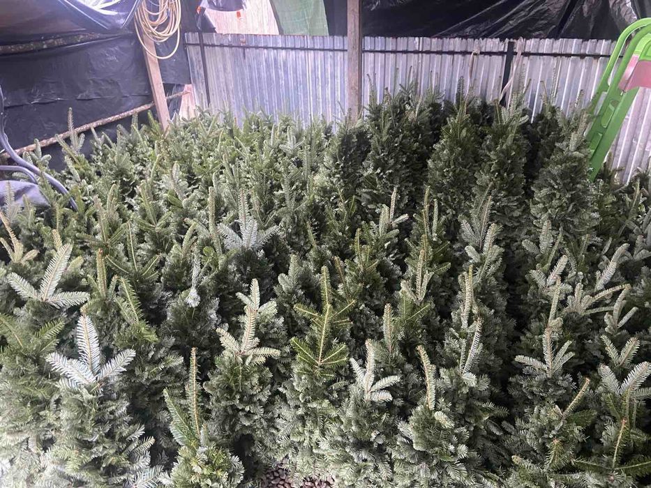 Ялинка плетана мотанка від 30см до150см