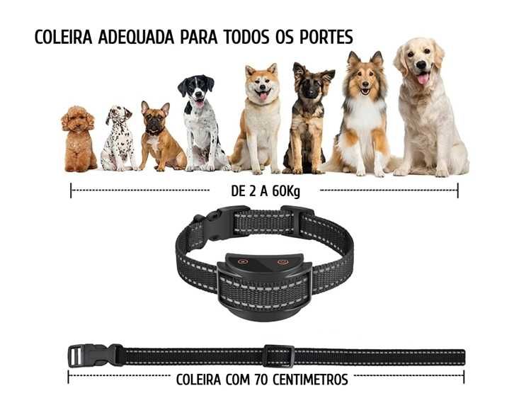 Coleira anti latido para cães com bateria recarregável