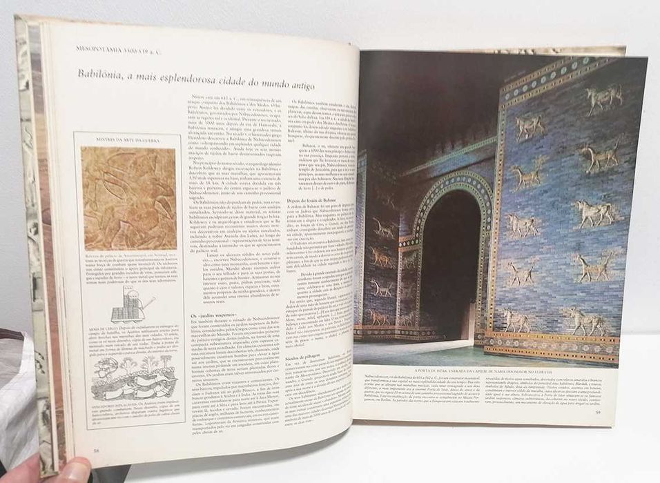 História do Homem nos Últimos Dois Milhões de Anos