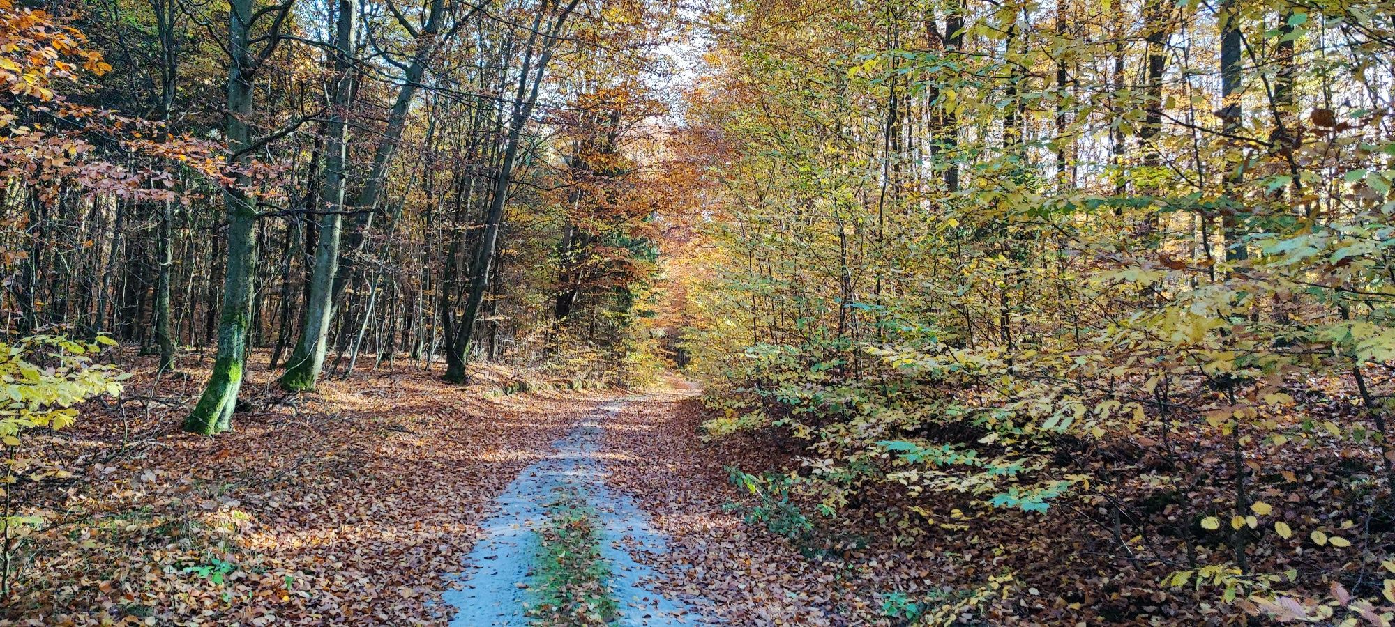 Posiadam miejsce do wysypania ziemi - Tyrowo