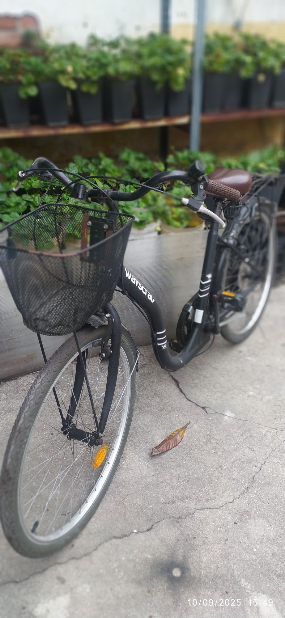 Bicicleta waysclral estilo holandês