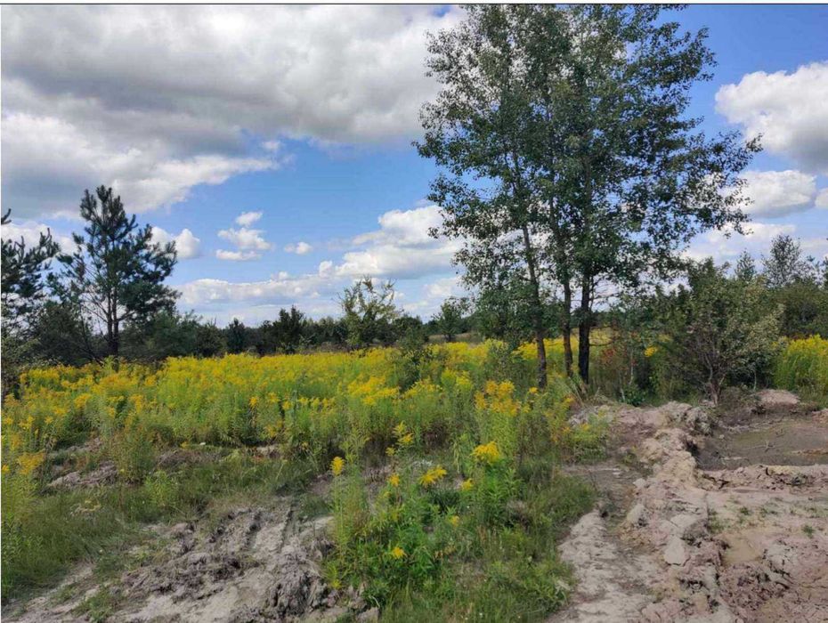 Продаж земельної ділянки, площею 1,0600 га,  Житомирська обл.