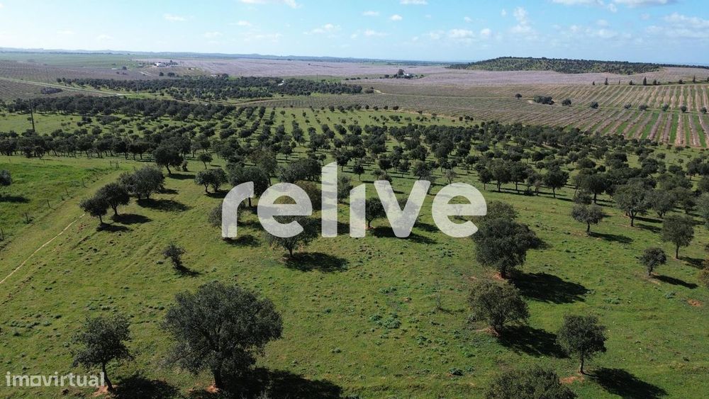 Herdade de 60,7 hectares a poucos minutos de Aljustrel
