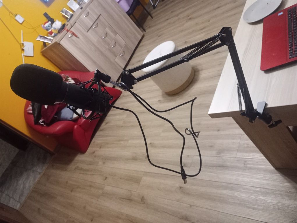 Mikrofon do śpiewania