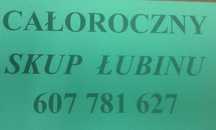 Skup łubinu gryki,peluszki od 1 tony w całej Polsce