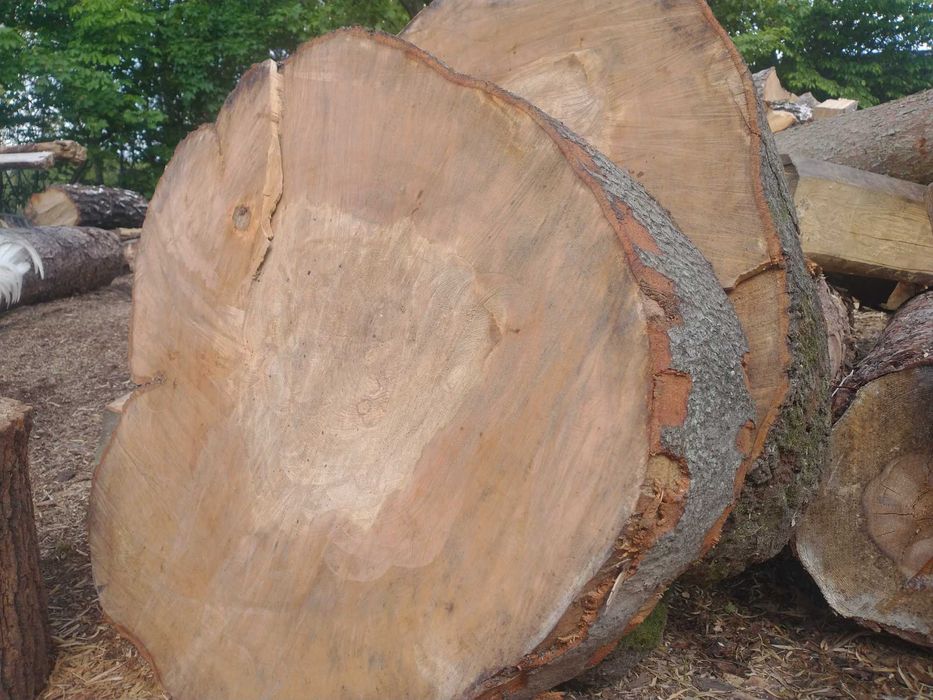 Plastry ,pieńki, podstawki pod donice,świeczniki z drewna.Cena od 5 zł
