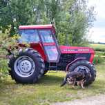 URSUS 914 de lux