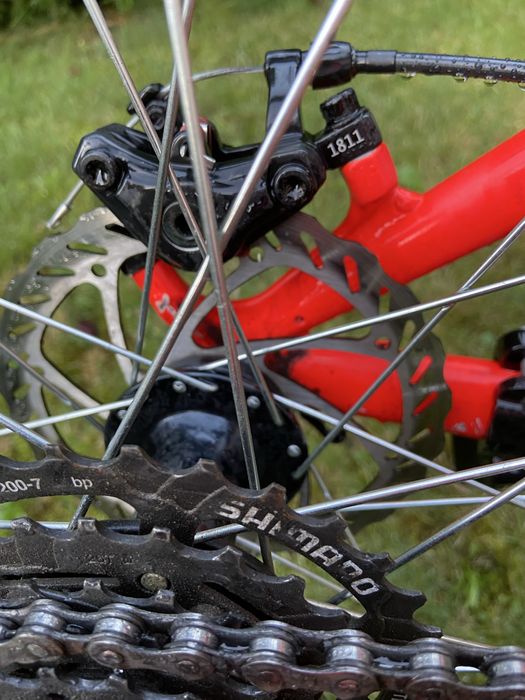 Rower Kellys Whip 10