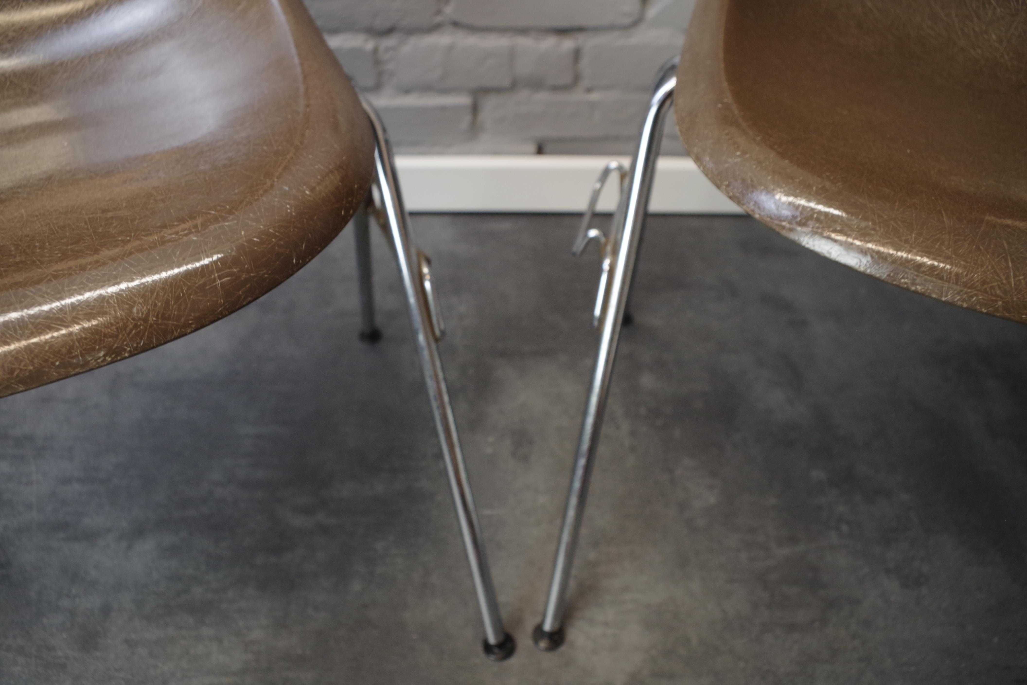 Krzesło z włókna szklanego Charles Eames dla Herman Miller