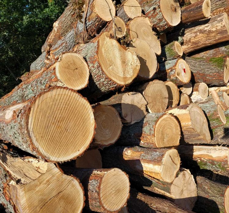 Drewno Opałowe z transportem