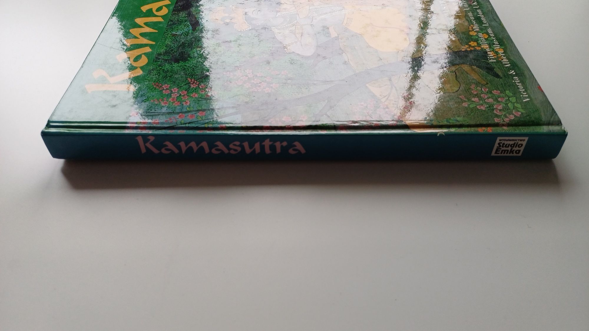 Kamasutra Dr Alka Pande. Duży album