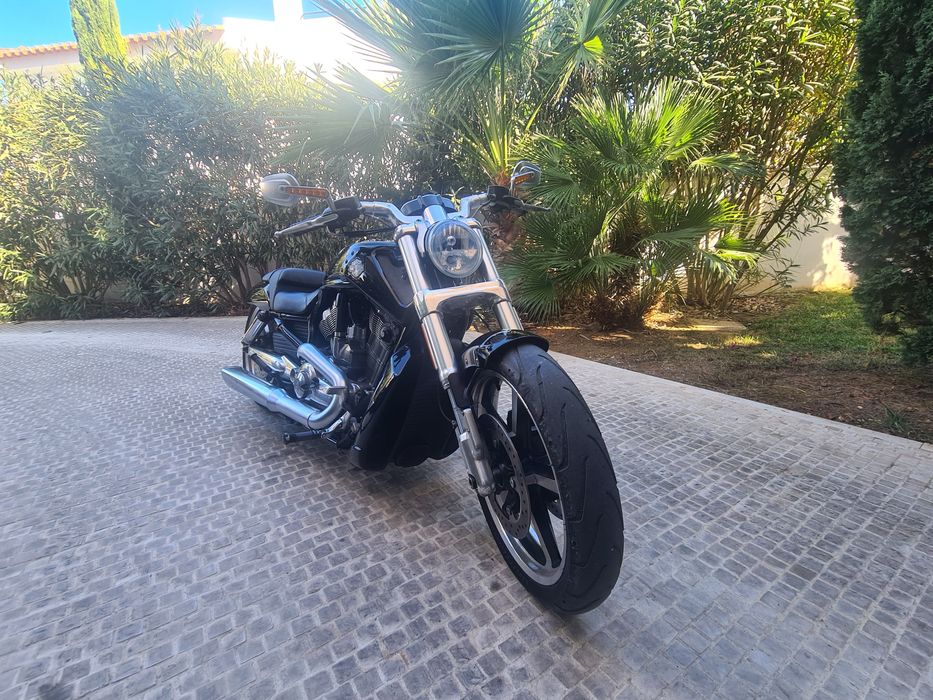 Harley Davidson V Road Muscle