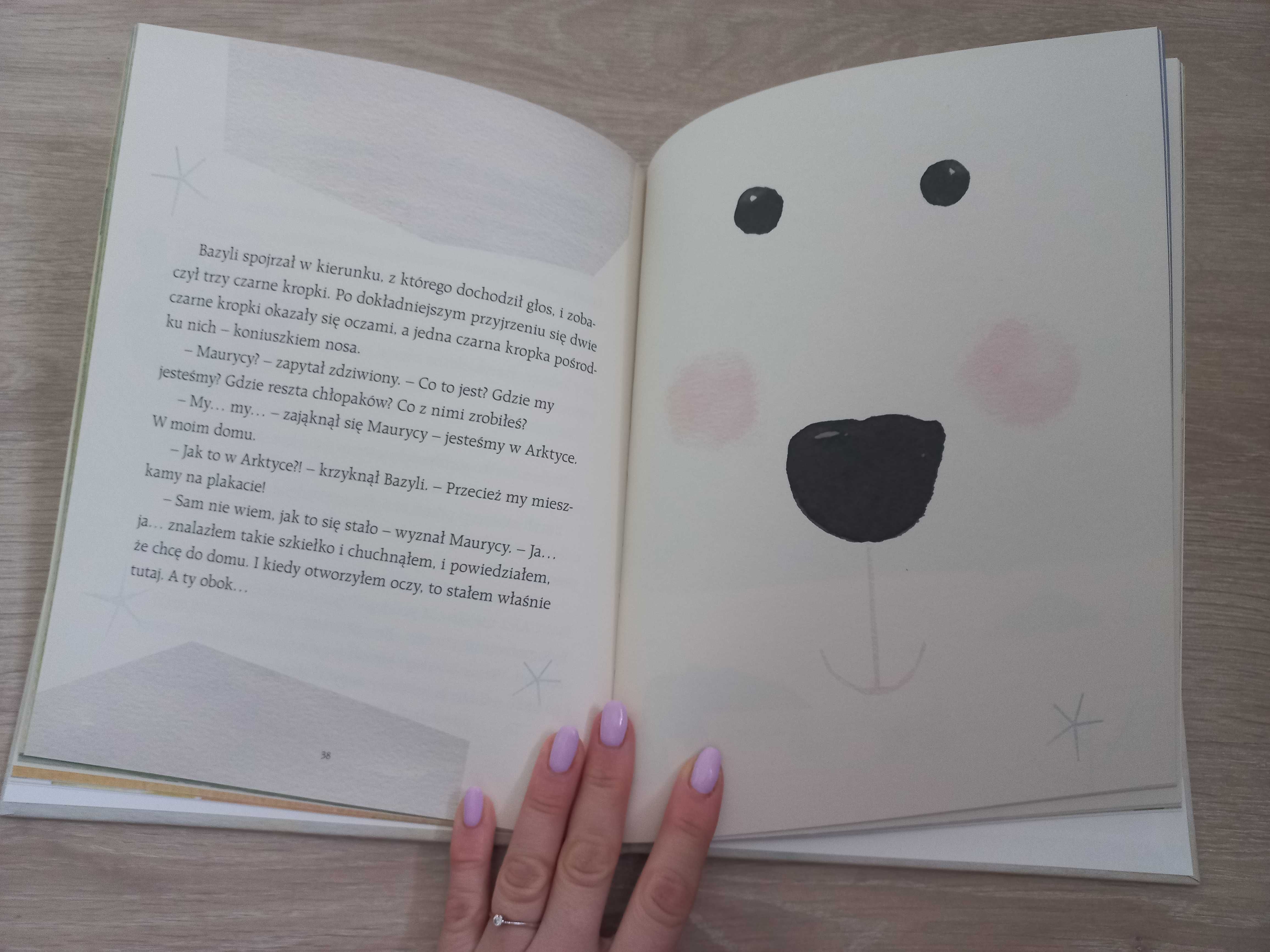 Książka dla dzieci Dokąd niedźwiedzie wędrują nocą nowa
