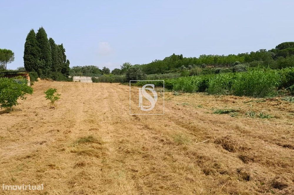 Terreno em Ventosa do Bairro