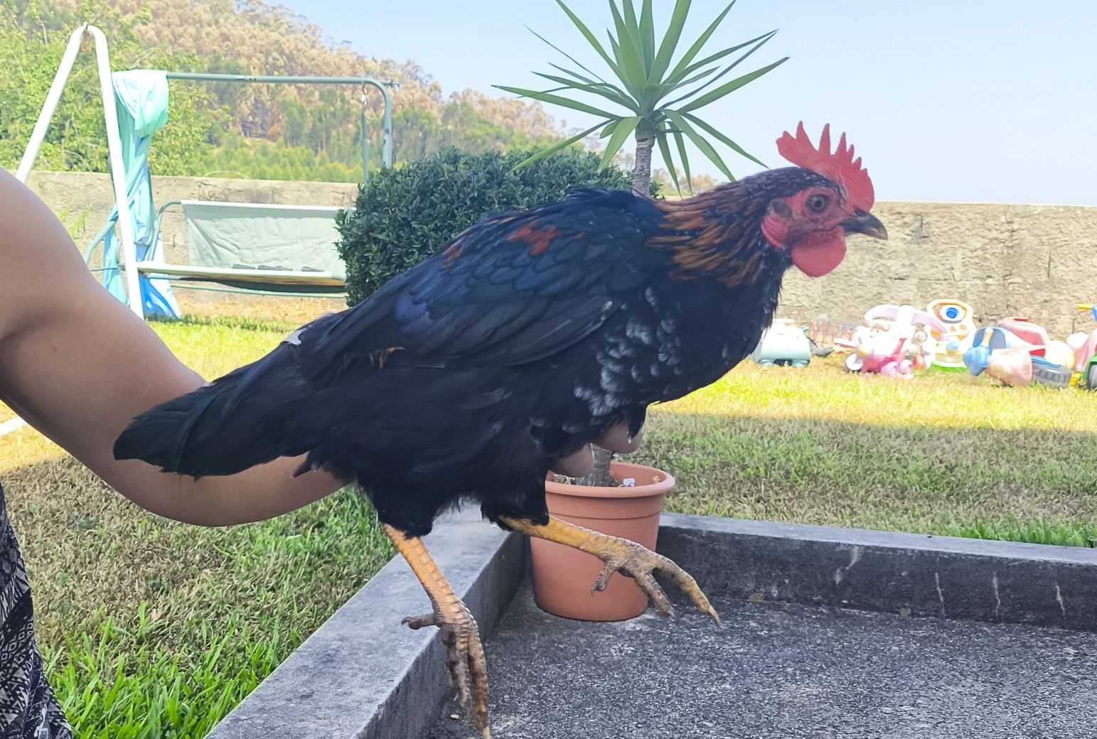 Casal de garnizos